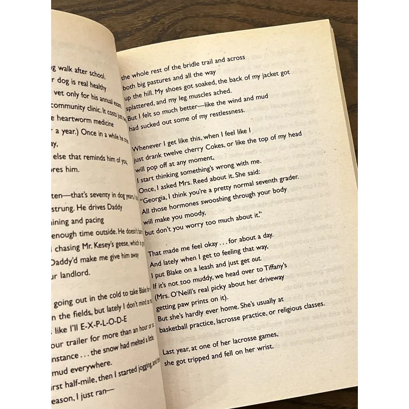 Pieces of Georgia 972808