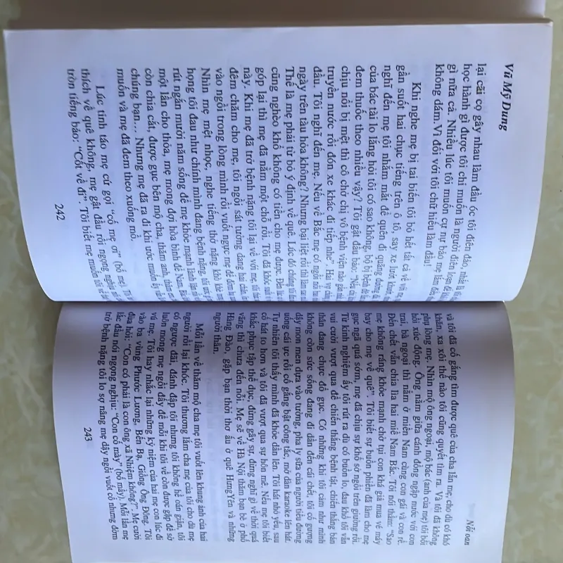 Nỗi oan - Vũ Mỹ Dung 1005399