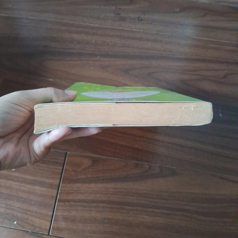 Đóng cửa thả boss 510051