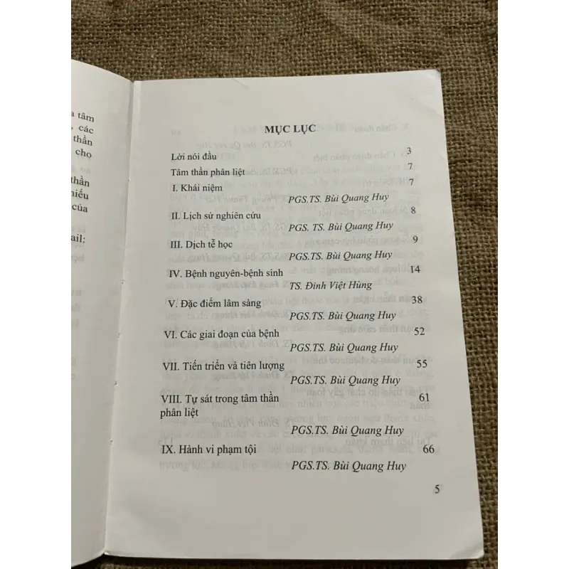 TÂM THẦN PHÂN LIỆT - SÁCH KHỔ LỚN - Chủ biên: PGS.TS. BÙI QUANG HUY 571800