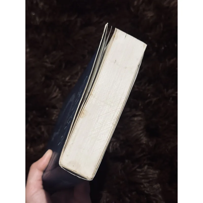 Những đứa con của nửa đêm 720007