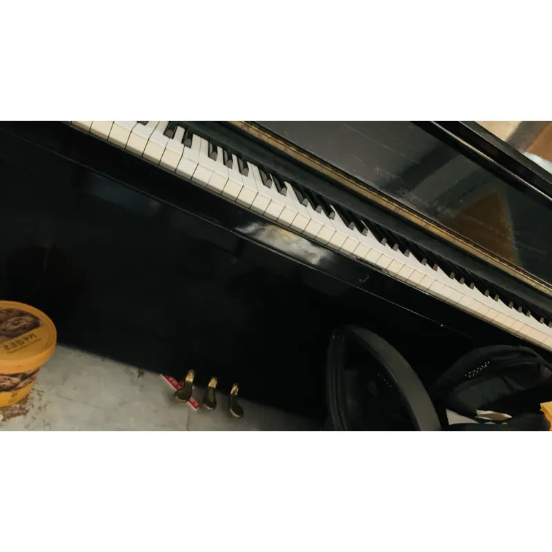 Đàn Piano Cơ của Nhật 751644