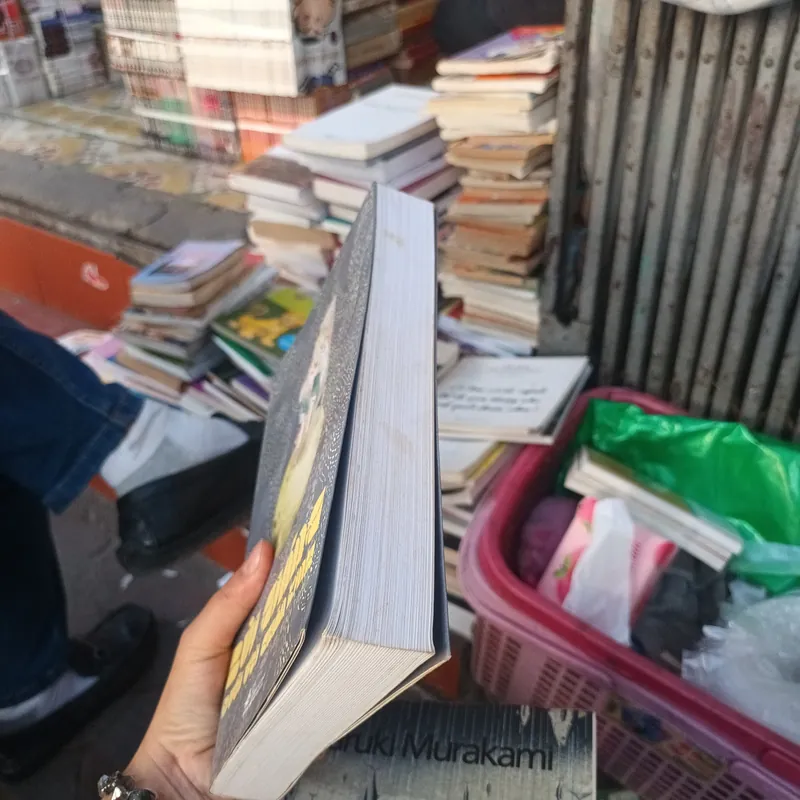 Bùi Giáng Đười Ươi Chân Kinh Thơ Văn Tinh Tuyển 731923