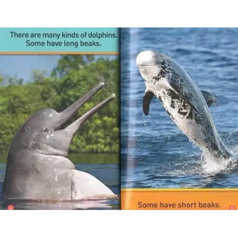 National Geographic kids - Level pre reader 30 cuốn giấy bóng đẹp tặng Audio 1000806