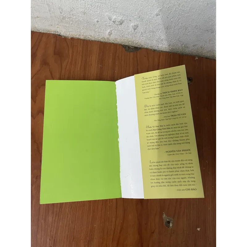 HIỂU VỀ TRÁI TIM - MINH NIỆM 734851