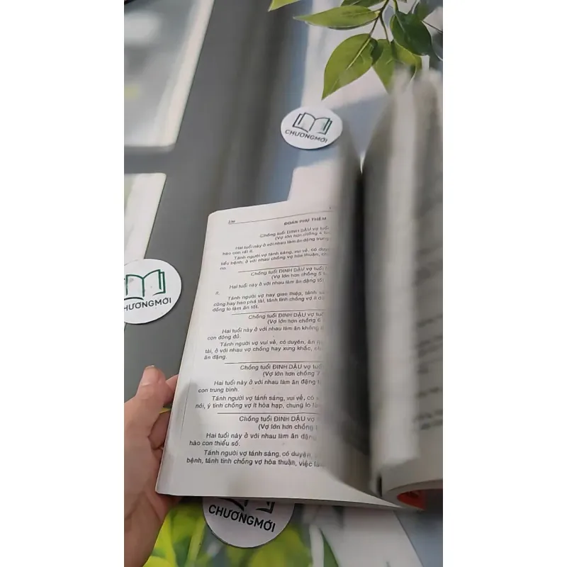 Căn Duyên Tiền Định 727287