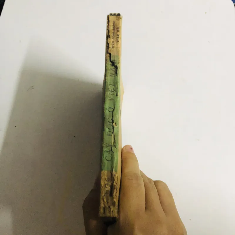 CÂY ĐỘC Ở VIỆT NAM 571033