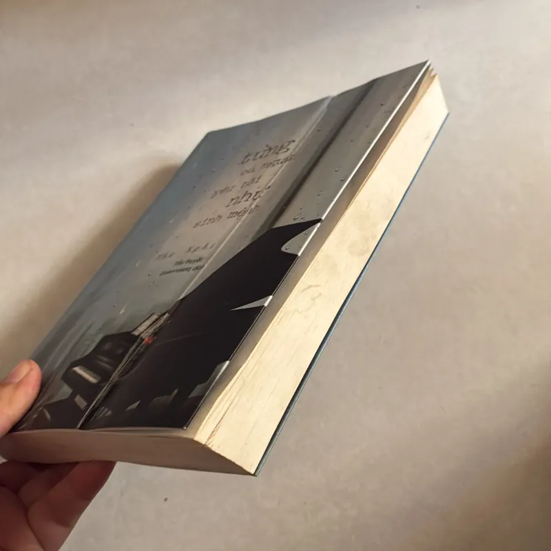 Tường có người yêu tôi như sinh mệnh - Thư Nghi 755073