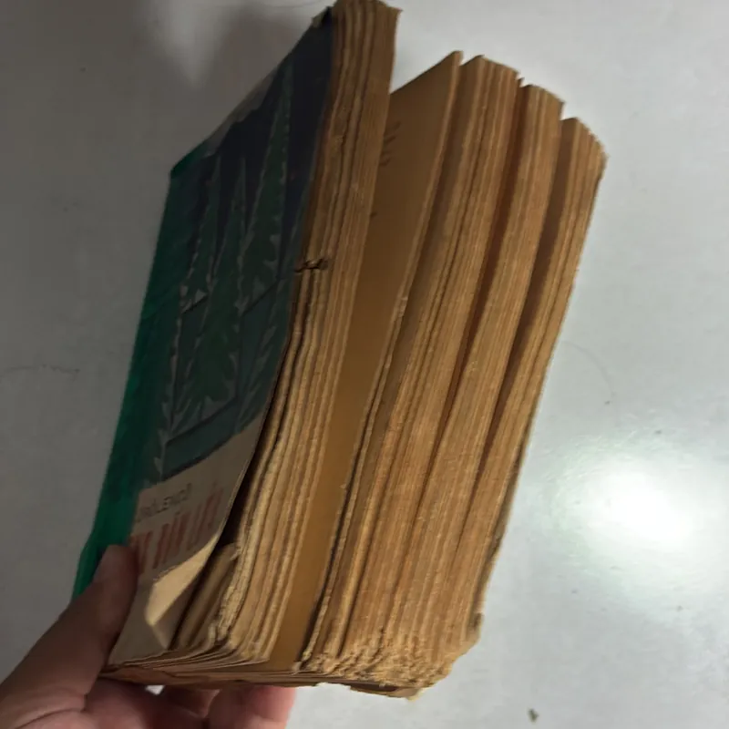 Những đốm lửa 736524