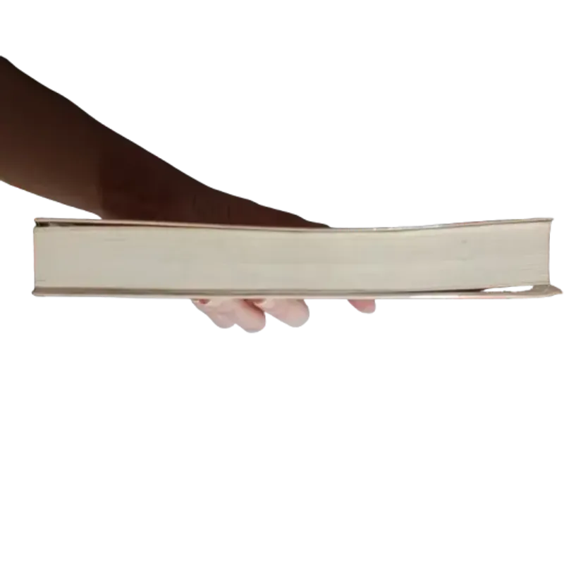 Sách Đồi gió hú – Emily Brontë (Có video quay sách) 908597