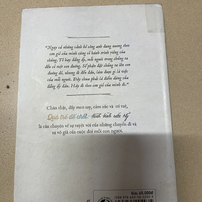 Quá trẻ để chết - Đinh Hằng (Hành trình nước Mỹ) - c43 675145