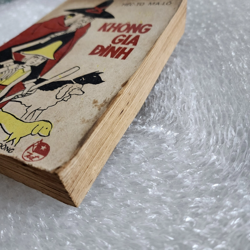 Không gia đình | Hector Malot | GS Huỳnh Lý dịch 462278