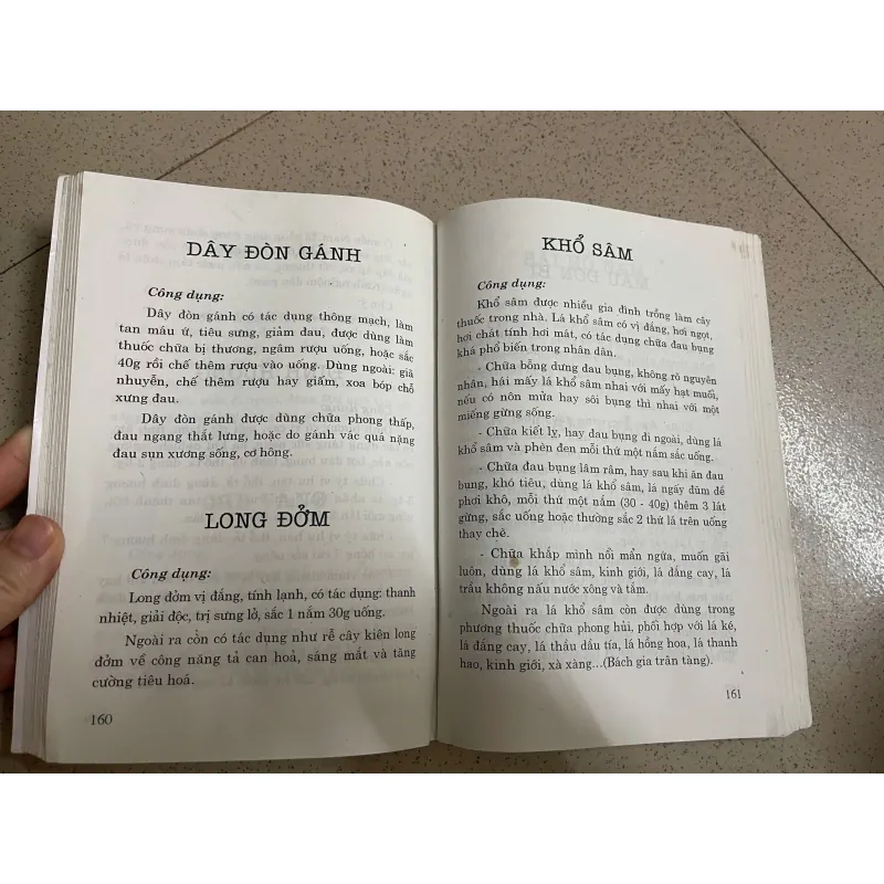 Chữa bệnh bằng cây lá quanh nhà 1022330