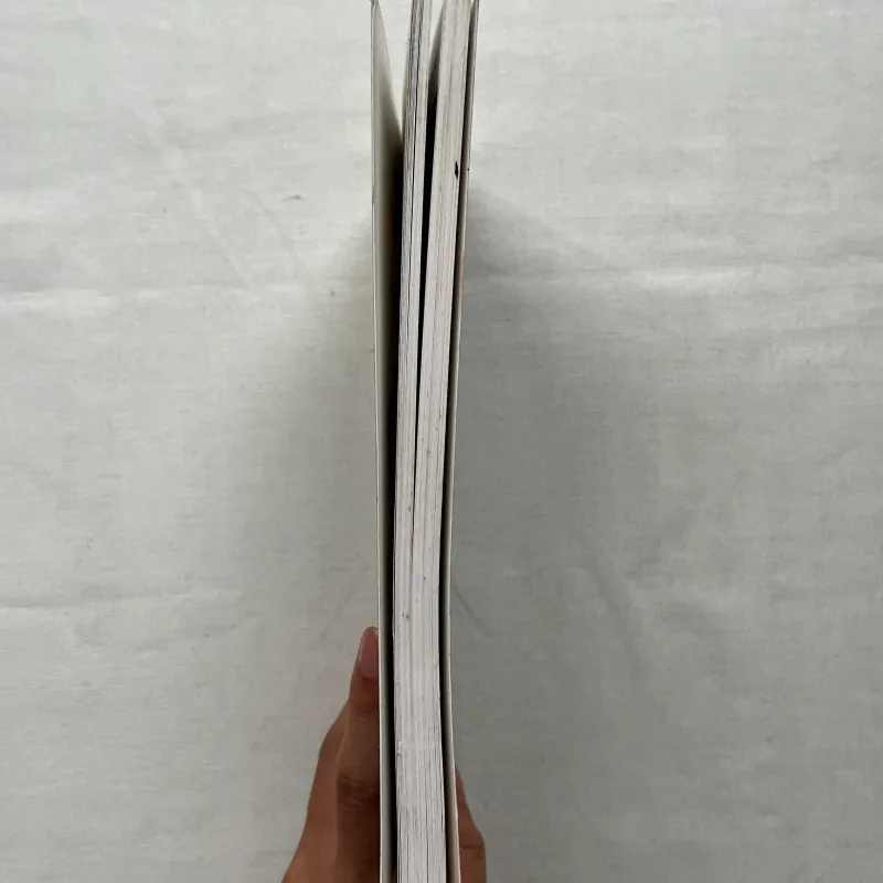 The Turner Prize and British Art  784955