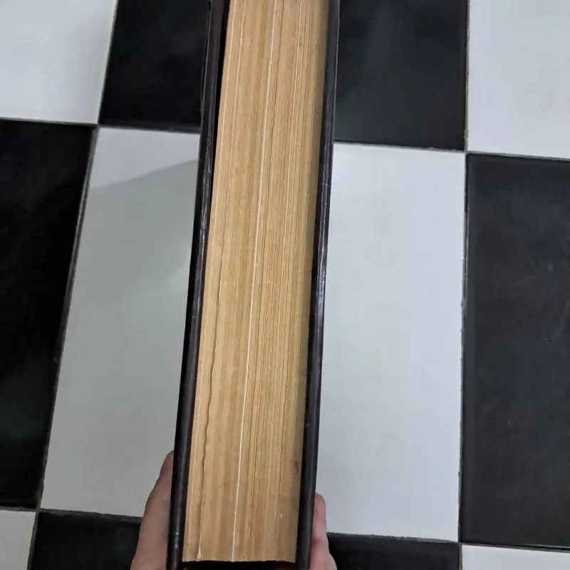 Từ điển Bách Khoa Việt Nam 1 1022079