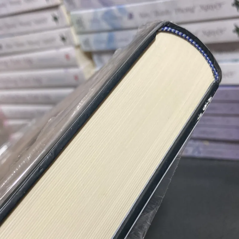 (Văn học kinh điển) - Nhà thờ đức bà Paris - Victor Hugo 1005083