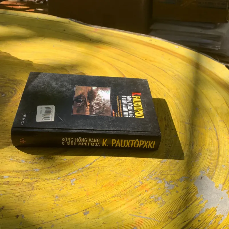 BÔNG HỒNG VÀNG & BÌNH MINH MƯA - K. PAUTOPXKI 783387