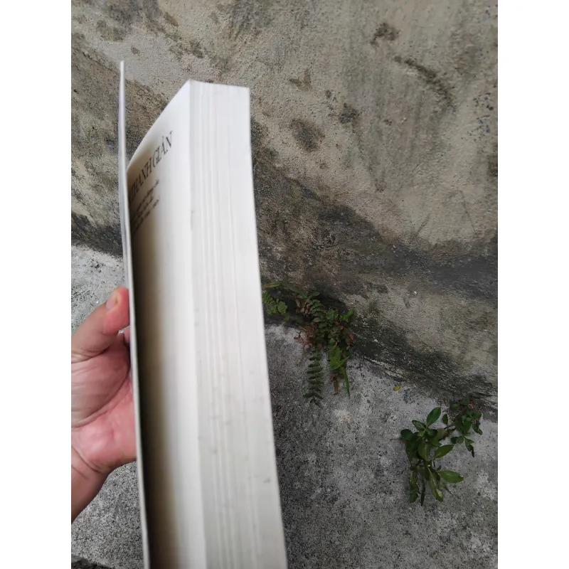 Phan Thanh Giản nhà ái quốc, người mở đường cho nước Việt Nam hiện đại  1030130