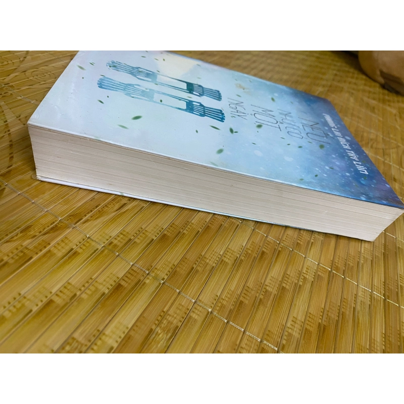 Nếu như có một ngày 494133