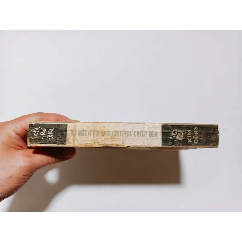 TôMếch Và Thủ Lĩnh Tia Chớp Đen - Sclarơxki 740765