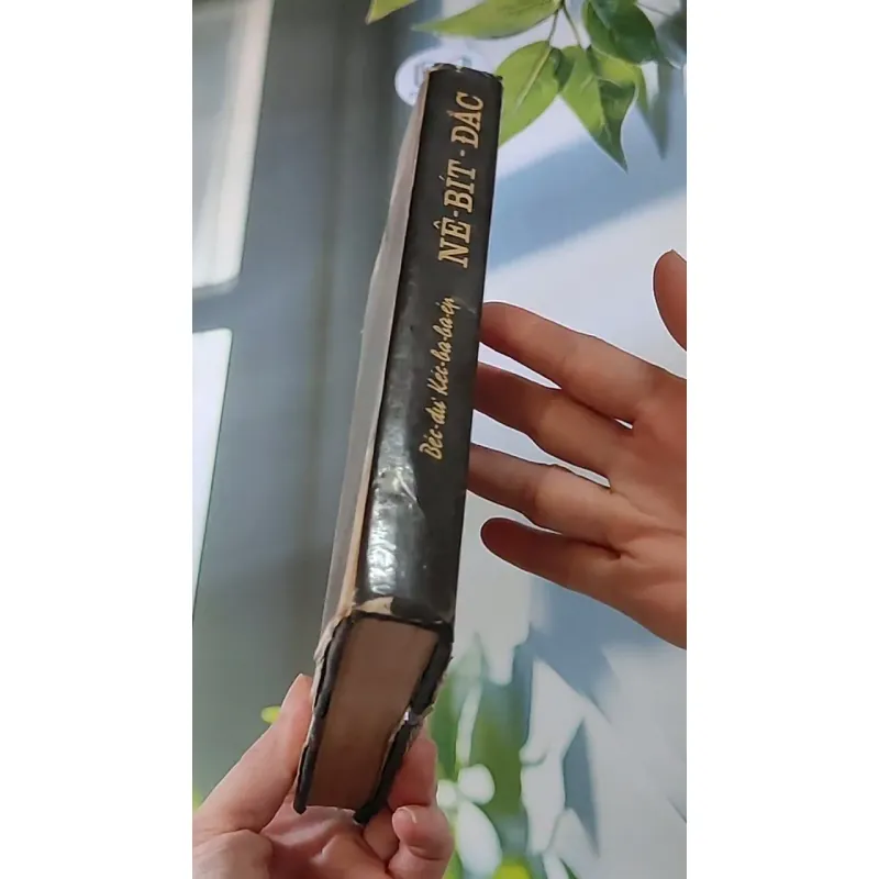 Nê-Bít-Đắc (1983) - Béc-dư Kéc-ba-ba-ep 607736