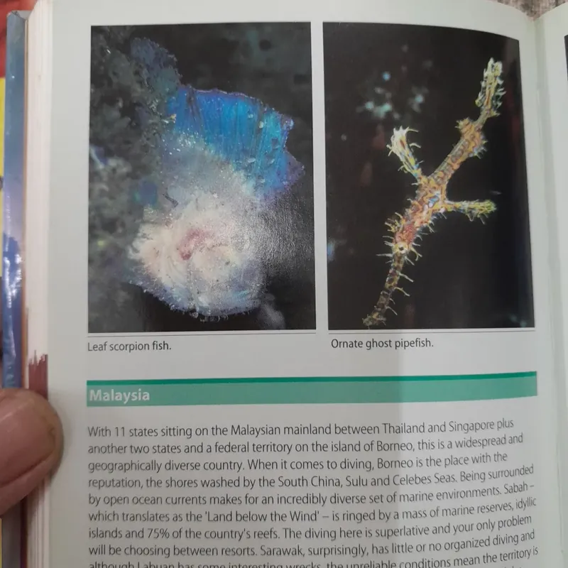 Southeast Asia Handbook.  589282