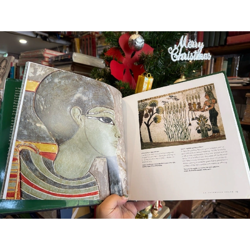 Green : The history of a color 734433