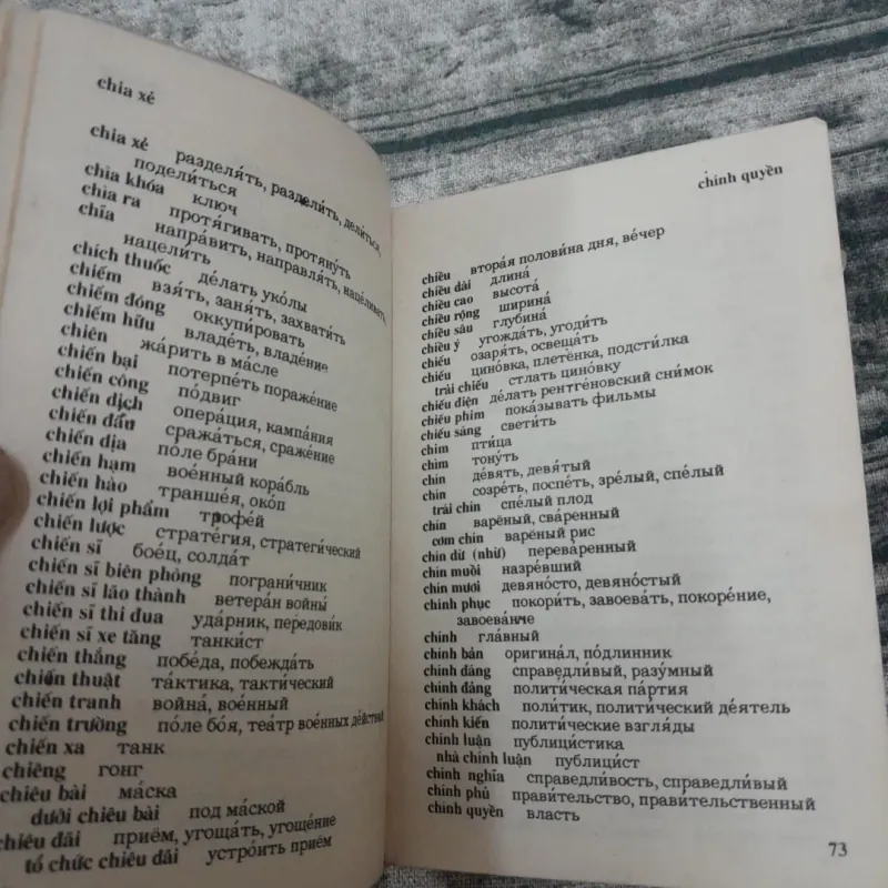 Từ điển bỏ túi VIỆT NGA. Tg Giáo sư Ng. Bá Hưng và Giáo sư Trần V. Cơ. Nxb HCM 1990 779232