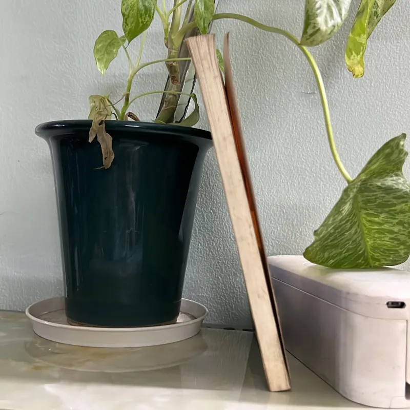 Trị tâm sân hận  746447