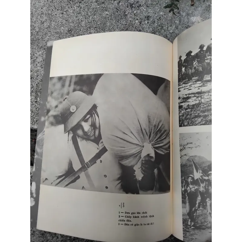 Hậu cần quân đội nhân dân Việt Nam  1028238