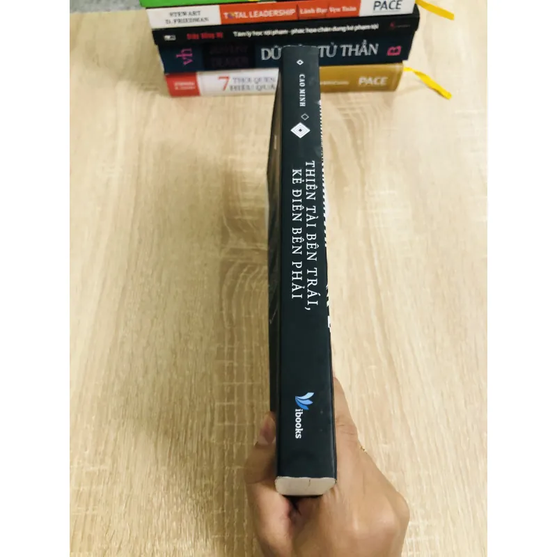 THIÊN TÀI BÊN TRÁI KẺ ĐIÊN BÊN PHẢI 1004295