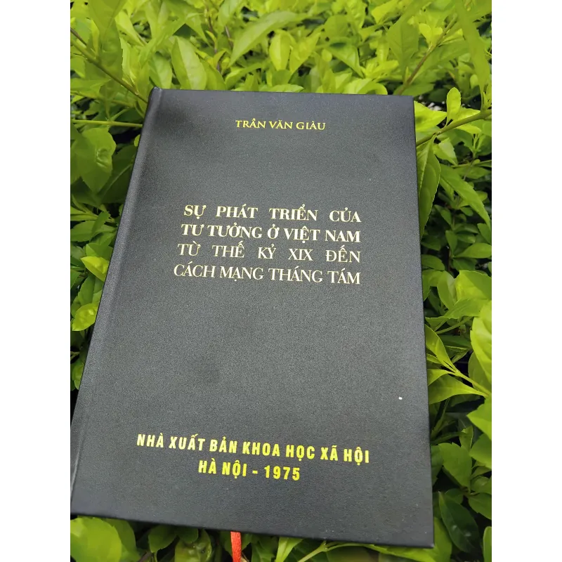 Sự phát triển của tư tưởng Việt Nam từ thế kỷ XIX đến cách mạng tháng Tám  960455