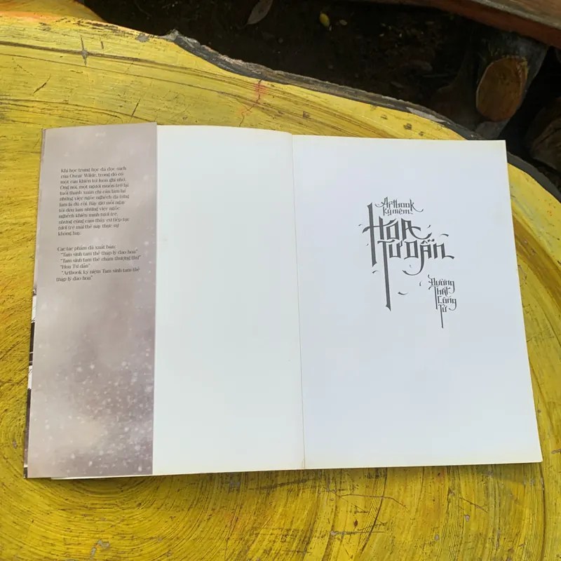 COMBO HOA TƯ DẪN : ARTBOOK KỶ NIỆM & TIỂU THUYẾT  737189