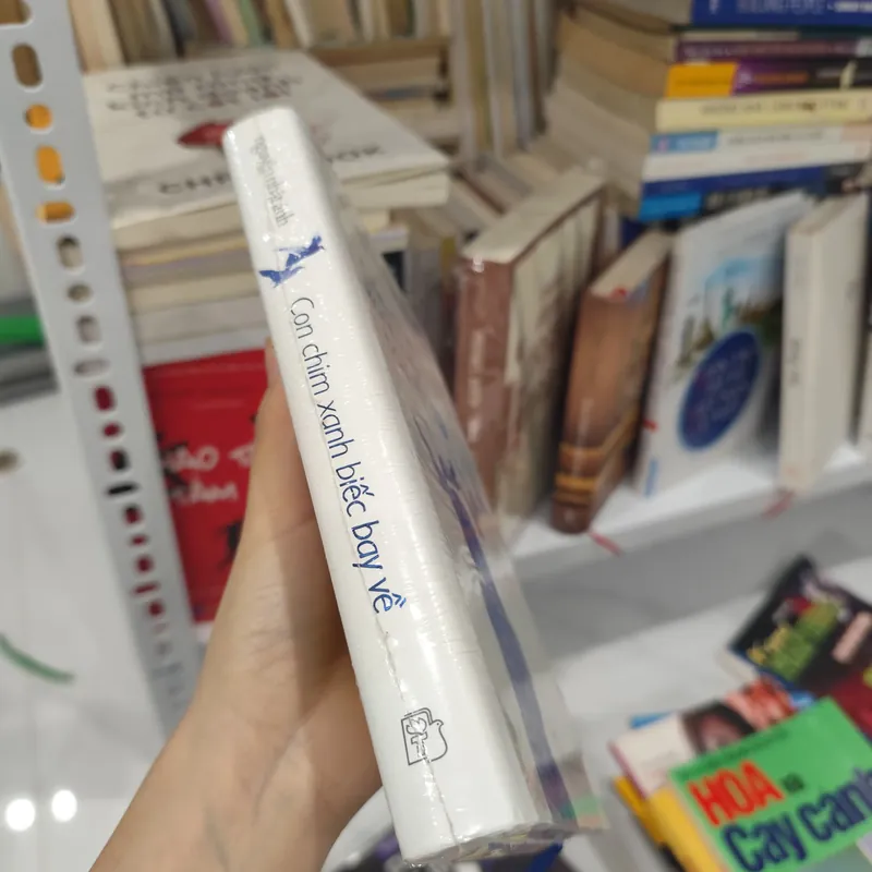 Con chim xanh biếc bay về 563706