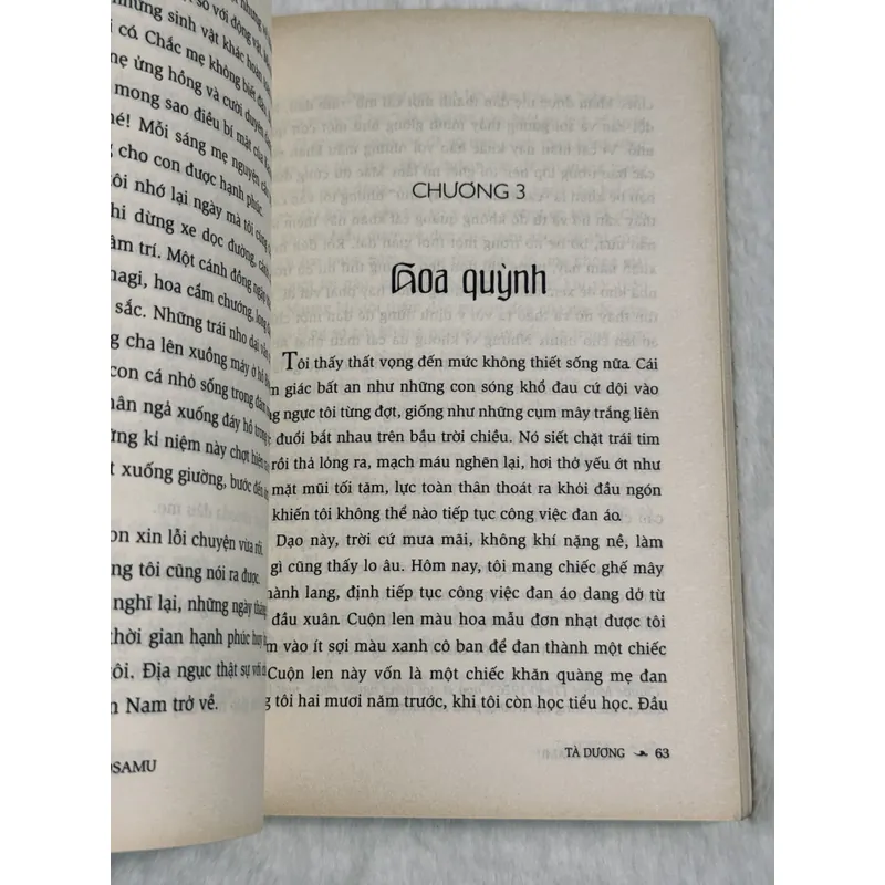 Combo Dazai Osamu 701862