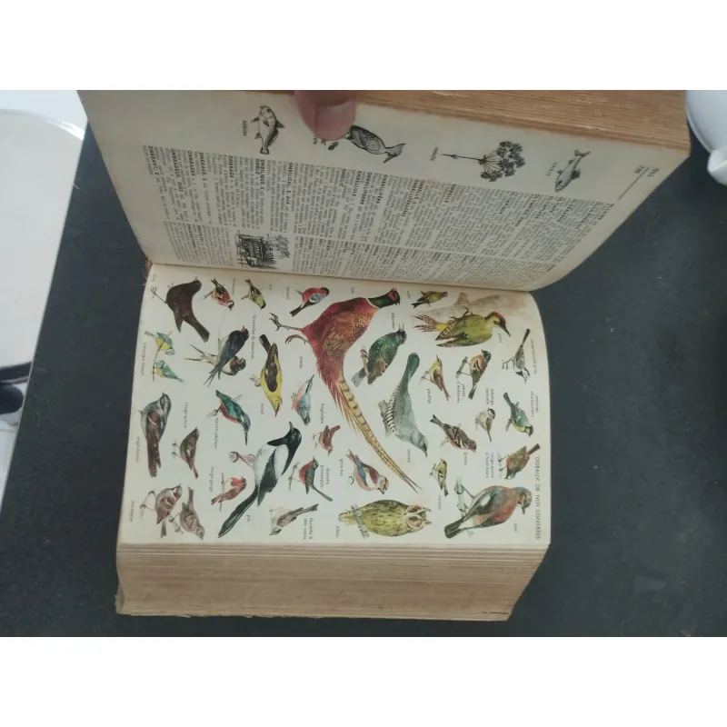 Petit Larousse 1963 993680