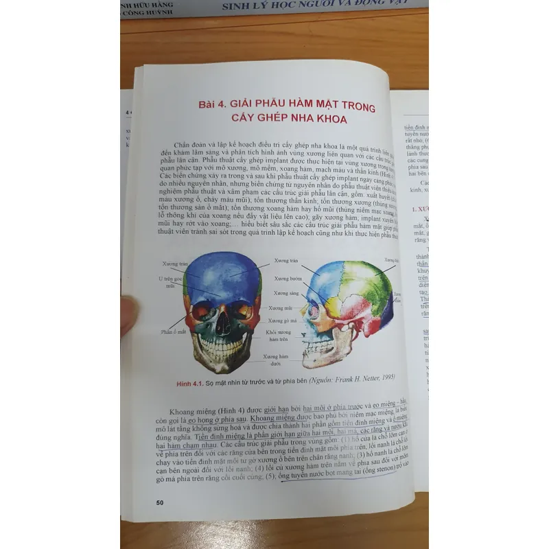 CẤY GHÉP NHA KHOA 740877