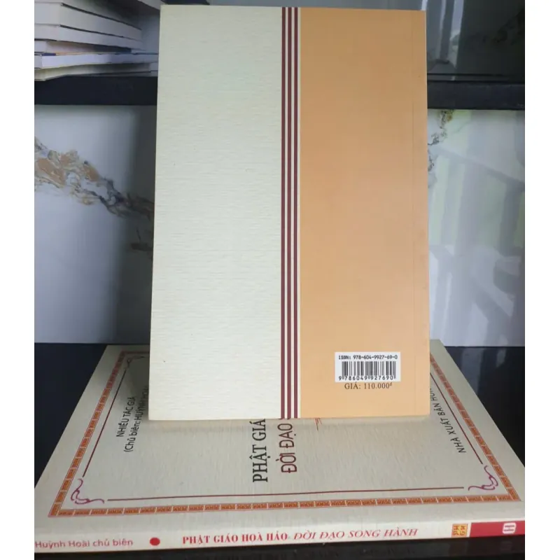 Sách Phật Giáo Hòa Hảo Đời Đạo Song Hành của Huỳnh Hoài mới 90% 681923