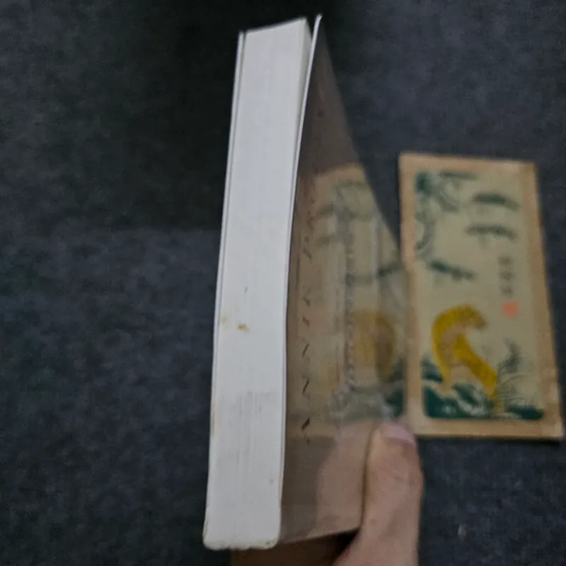 Chuyện tình núi Brokeback 732879