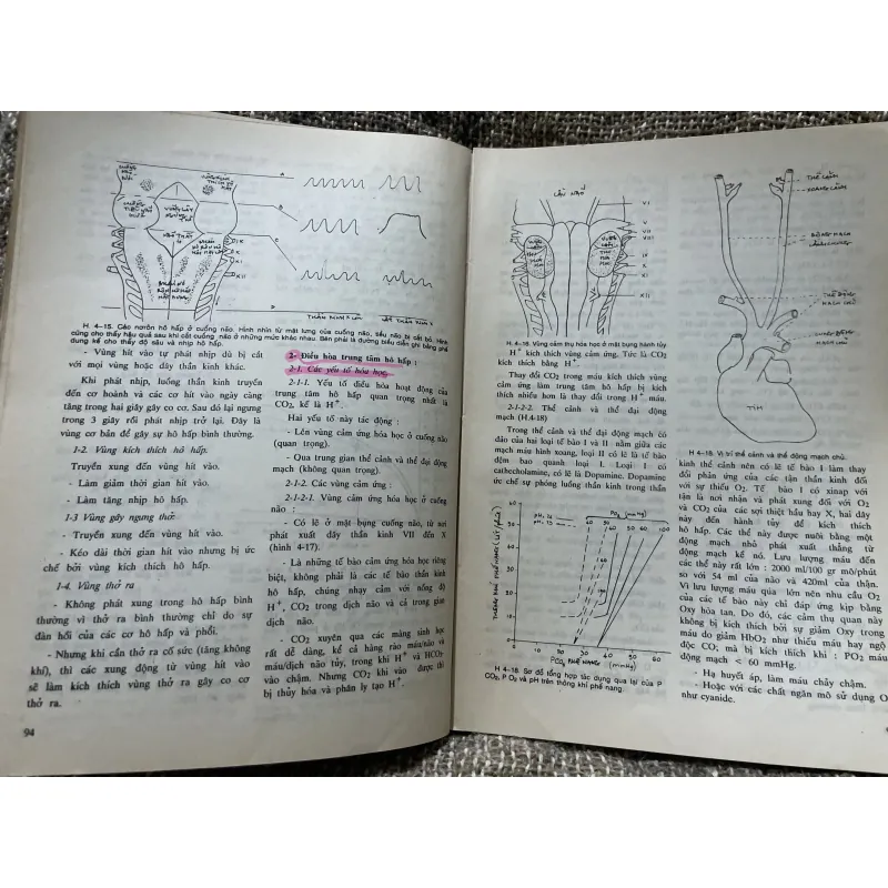 Sinh lý học y khoa , bộ môn Sinh lý học , hơn 300 trang khổ lớn  1009097