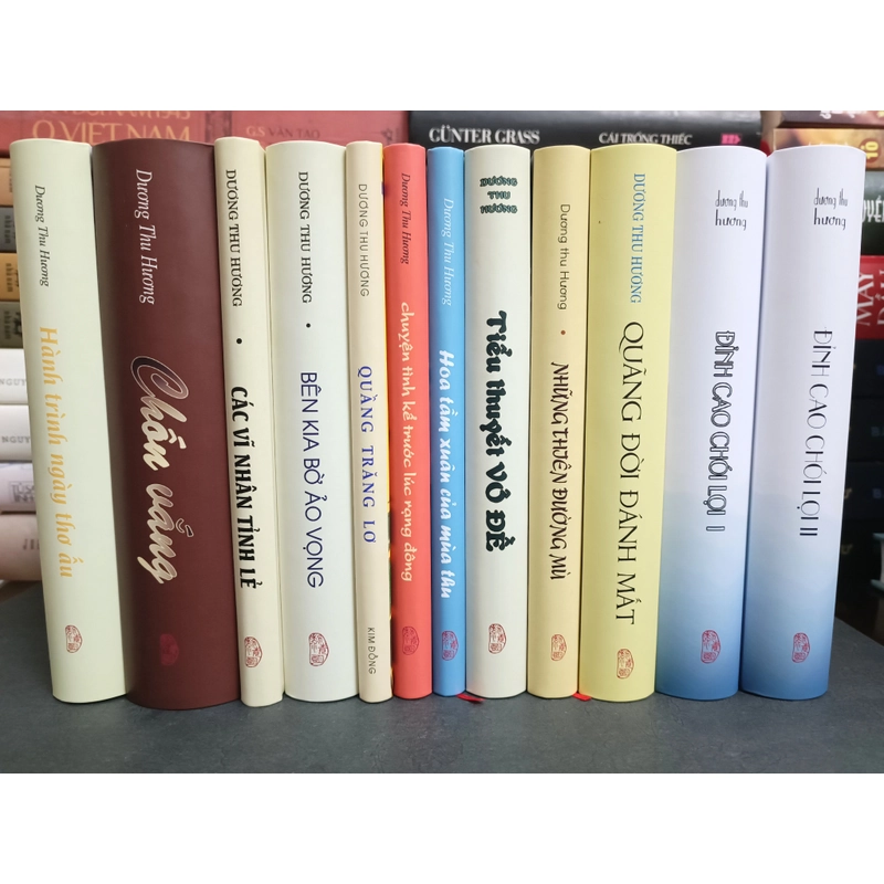 11 tác phẩm của Dương Thu Hương  463619