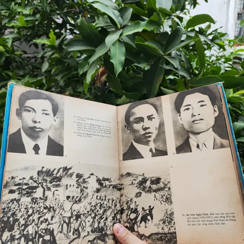 Dưới Lá Cờ Vẻ Vang Của Đảng 706340