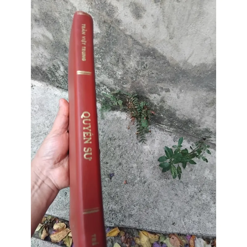 Quyền sư truyện của Trần Việt Trung  1025093