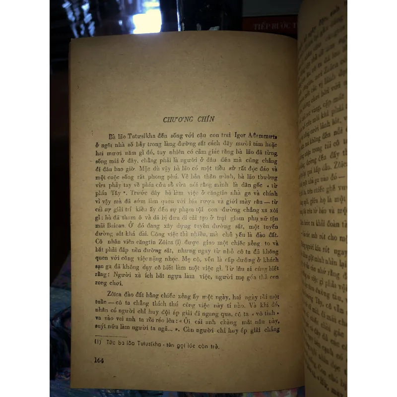 Thám tử buồn - V.P. Axtaphiep 970764