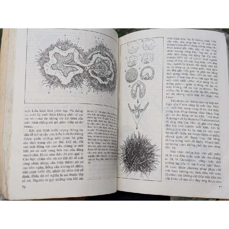 Những tiên đề của sinh học - B.M. Međnikov 126689