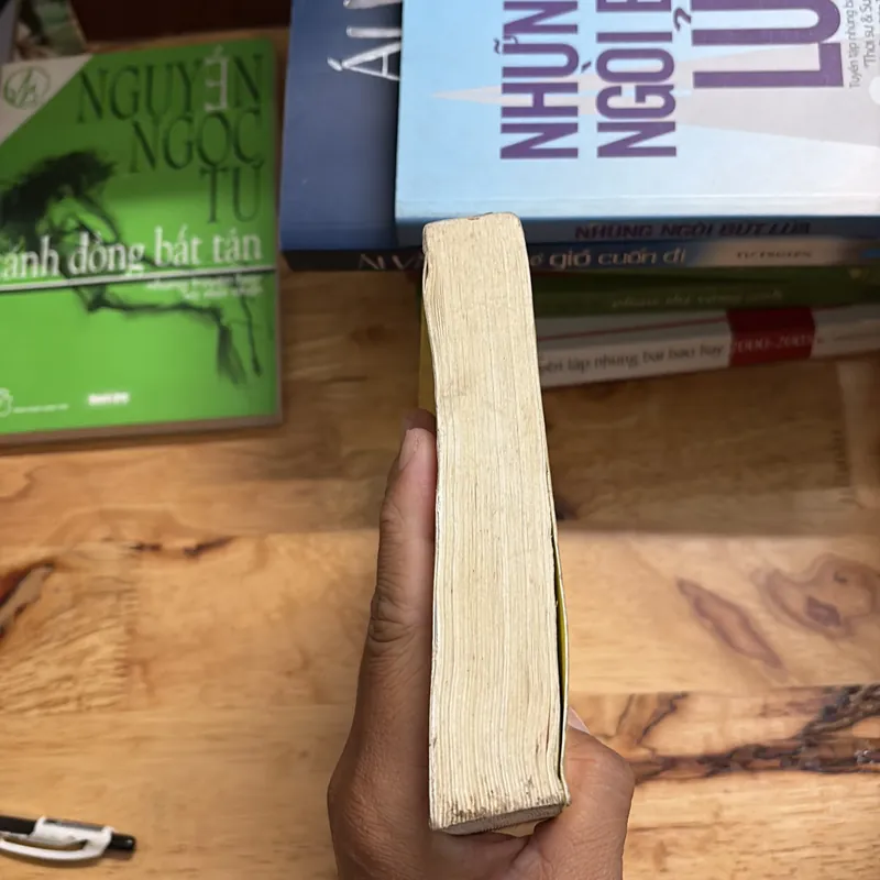 II Tiểu Thuyết Lịch Sử: Ngàn Mặt Trời Rực Rỡ - KHALED HOSSEINI - 2018 699417