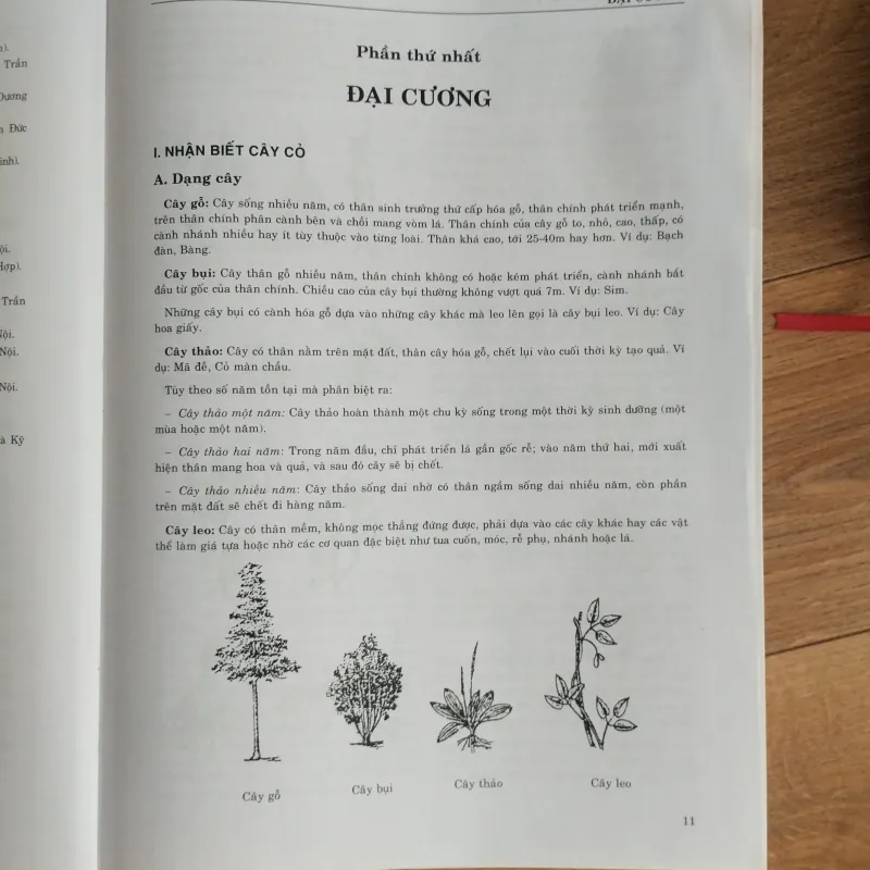 Bộ sách Từ điển Cây thuốc Việt Nam tập 1, 2 1021608