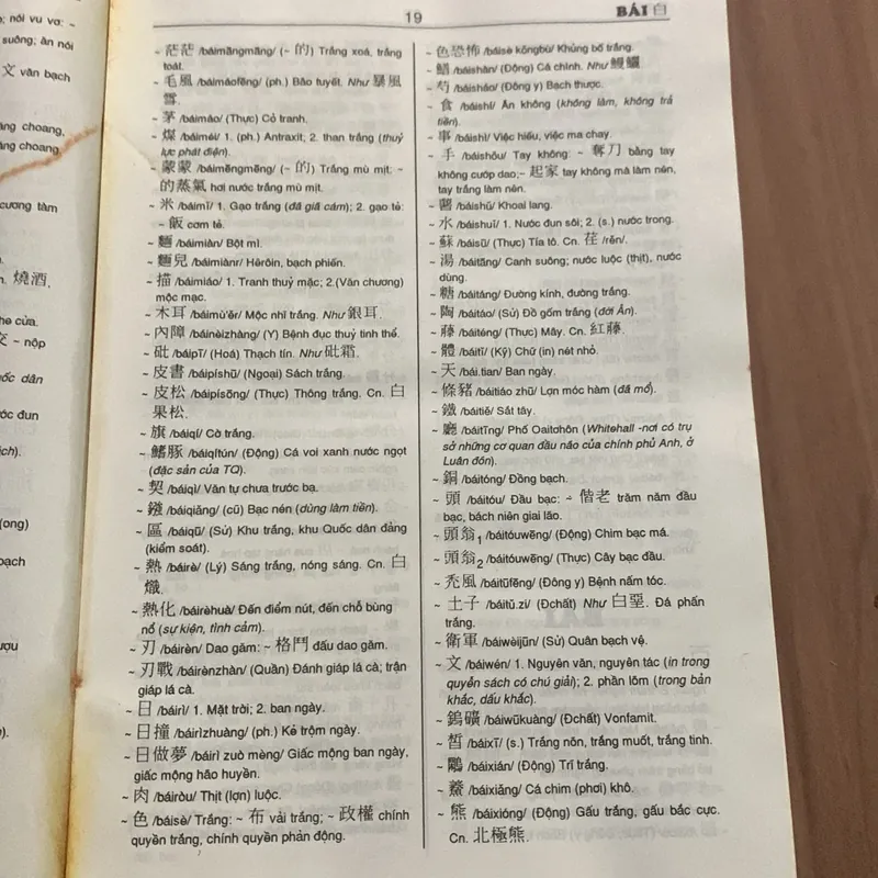 Từ điển Hán Việt hiện đại, chủ biên Nguyễn Kim Thản, in 1994 674053