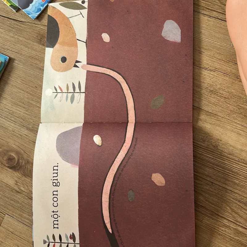 Sách cho bé - Chin xây tổ- in màu đẹp 639712