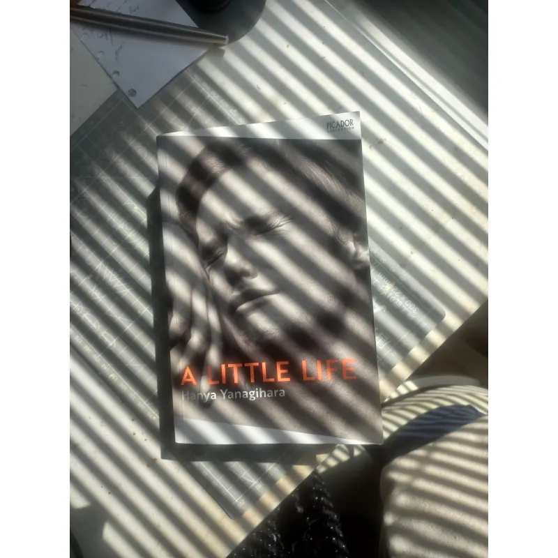 Sách Tiểu thuyết A Little Life Henya Yanagihara (Mới 95%) 775837